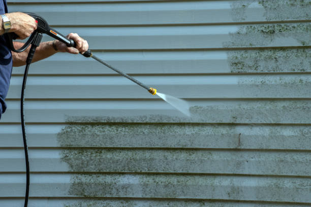 Best Animal Enclosure Cleaning  in Bazon, CA